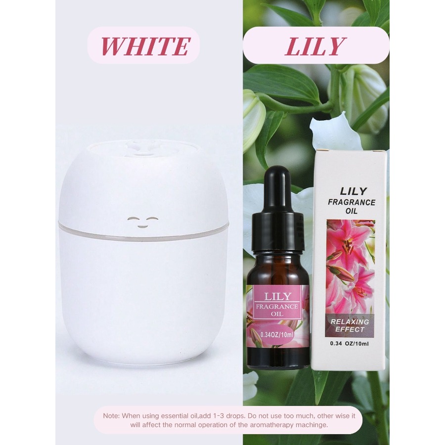 220ML USB Mini Aroma Diffuser  - Air Conditioners recension och pris